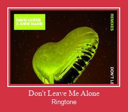 Don't Leave Me Alone צלצול הורד חינם
