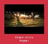 Destiny Of Love ton de apel