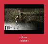Rain zil