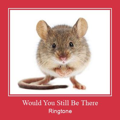 Would You Still Be There Ringtone Ladda ner gratis