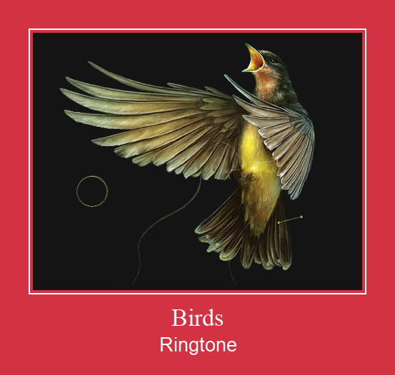 Birds Ringtone Download pulsuz