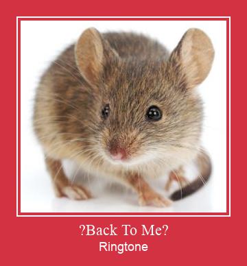 ?Back To Me? Ringtone Download Free