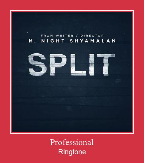 Professional 着信音を無料でダウンロード