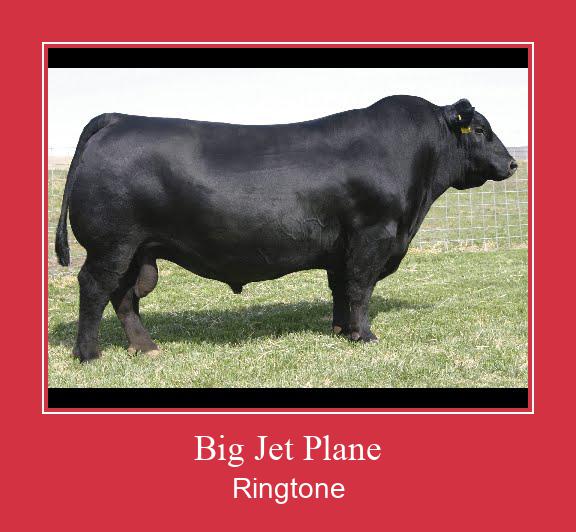 Big Jet Plane ரிங்டோன் பதிவிறக்க இலவச