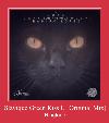 Slavique Green Kiss U [Original Mix] ringsignal