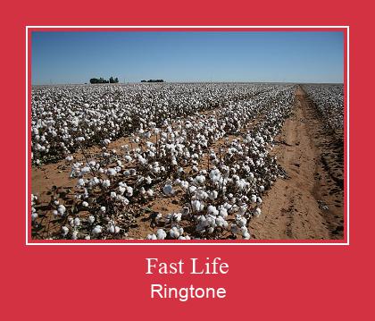 Fast Life రింగ్టోన్ ఉచితంగా డౌన్లోడ్ చేసుకోండి
