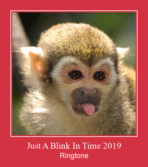 Just A Blink In Time 2019 着信音を無料でダウンロード