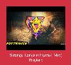 Strange Lands (Original Mix) ringsignal