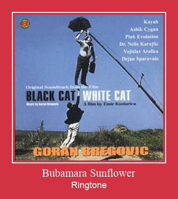 Bubamara Sunflower צלצול הורד חינם