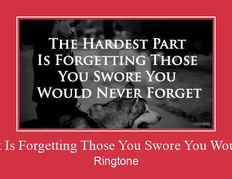 The Hardest Part Is Forgetting Those You Swore You Would Never Forget Vyzvánění ke stažení zdarma