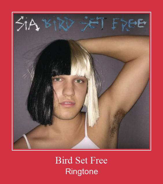 Bird Set Free Ringtone atsisiųsti nemokamai