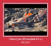 Zenosyne (Extended Mix) ರಿಂಗ್ಟೋನ್