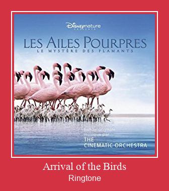 Arrival Of The Birds  Ringtone allalaadimine tasuta
