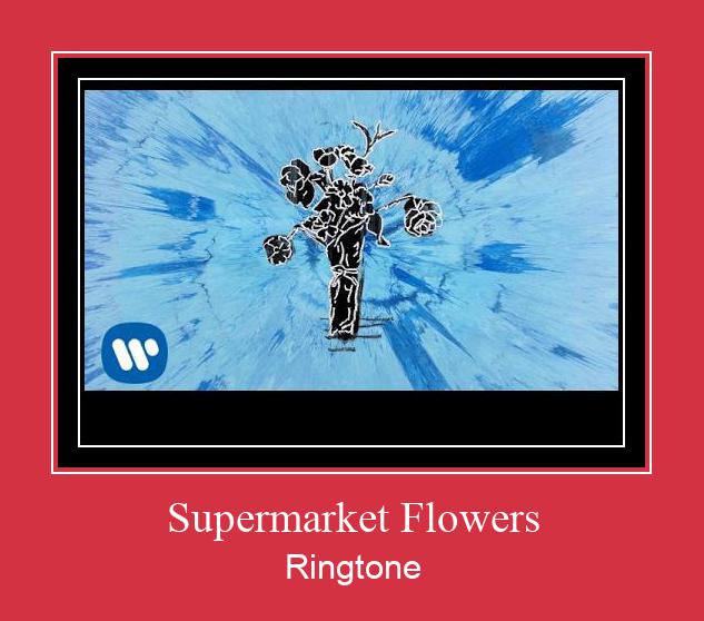 Supermarket Flowers Ringtone Download Proste.
