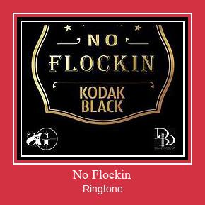 No Flockin Ringtone Download Proste.