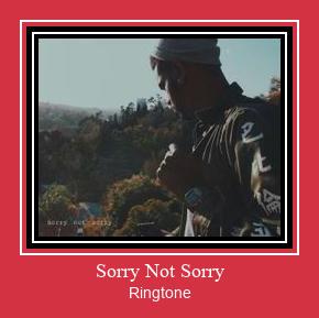 Sorry Not Sorry 着信音を無料でダウンロード