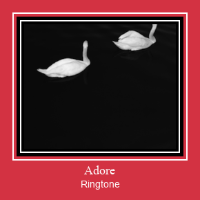 Adore Ringtone Завантажити безкоштовно