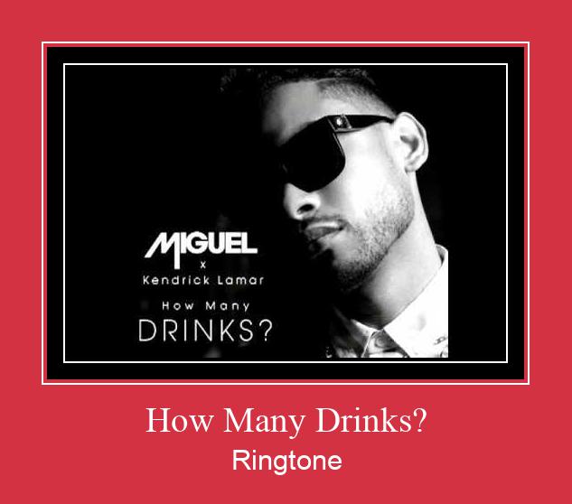 How Many Drinks? Zvana signāls lejupielādēt bezmaksas
