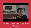 Hedwig's Theme From Harry Potter helin