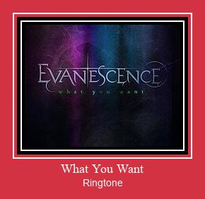 What You Want Ringtone Download pulsuz