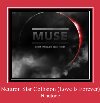 Neutron Star Collision (Love Is Forever) helin