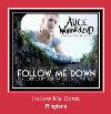 Follow Me Down 着信音