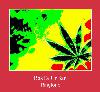 RasTa UrBan 着信音