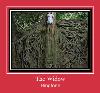 The Widow tono de llamada