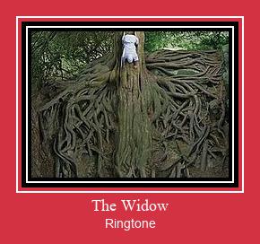 The Widow Toque baixar grátis