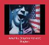 Amerika (English Version) suoneria