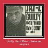 Guilty Until Proven Innocent beltoon