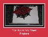 You Know My Steez 着信音