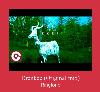 Drenkee (Original Mix) melodija