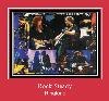 Rock Steady ringtone