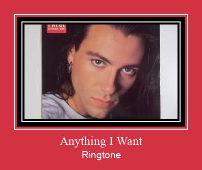 Anything I Want Toque baixar grátis