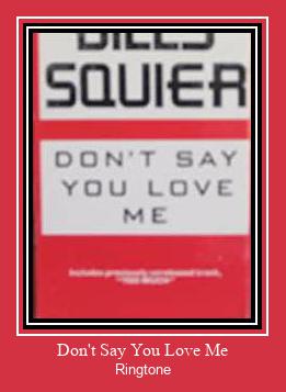 Don't Say You Love Me Ringtone Download Proste.