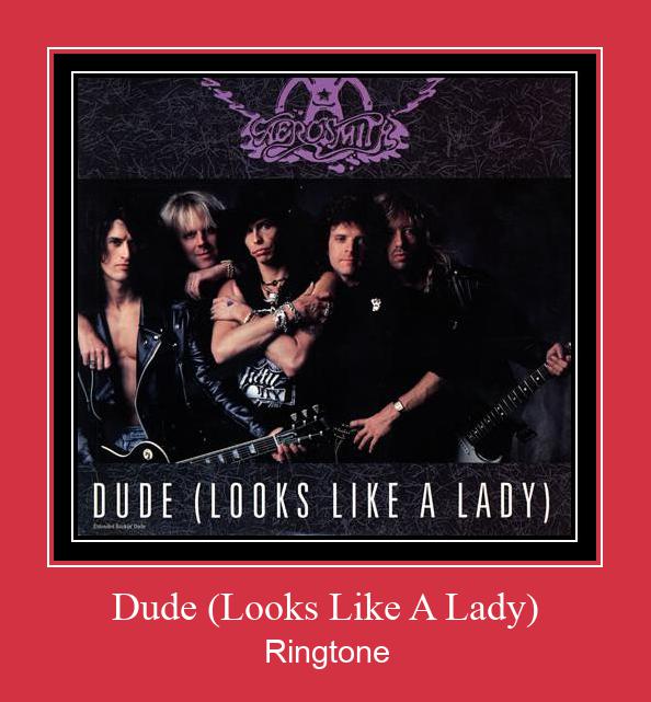 Dude (Looks Like A Lady) Téléchargement de sonnerie GRATUIT