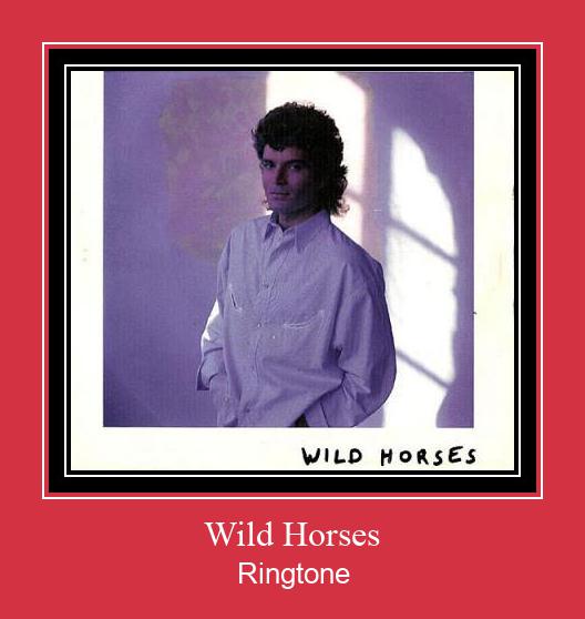 Wild Horses Tono de llamada gratis
