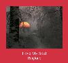 Love My Soul tono de llamada