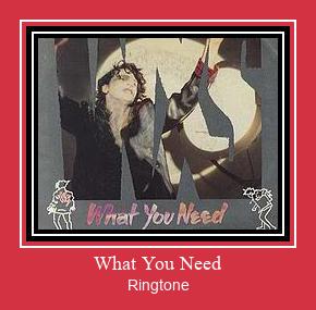 What You Need 着信音を無料でダウンロード
