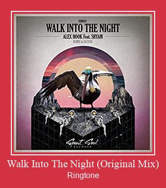 Walk Into The Night (Original Mix) Toque baixar grátis