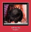 Tell Her No เสียงเรียกเข้า