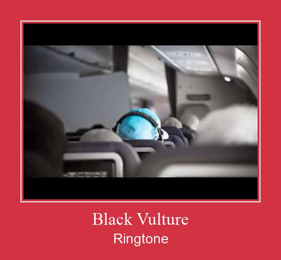 Black Vulture Рингтоне Бесплатно бесплатно