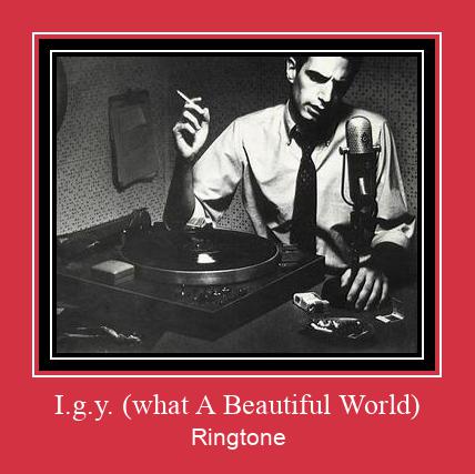 I.g.y. (what A Beautiful World) צלצול הורד חינם