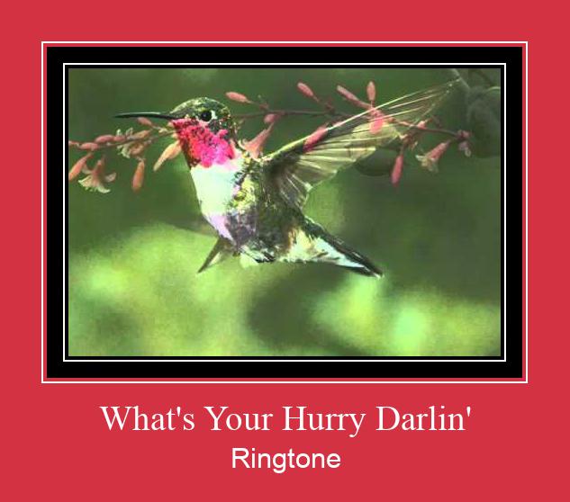 What's Your Hurry Darlin' Tono de llamada gratis