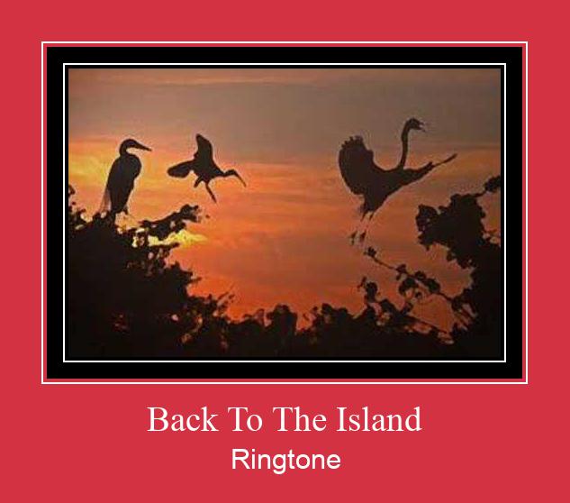 Back To The Island Ringtone Download Proste.
