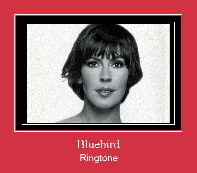 Bluebird Ringtone Download Free