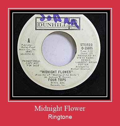 Midnight Flower Klingelton kostenlos downloaden.