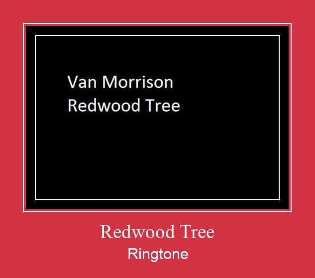 Redwood Tree Ringtone Download Proste.