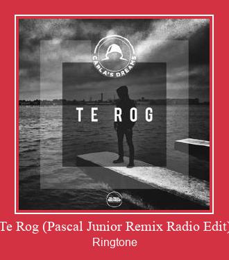 Te Rog (Pascal Junior Remix Radio Edit) Ringtone Download Proste.